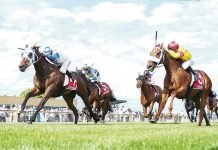 Day for a glorious victory at Sale Cup