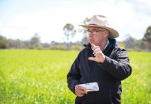 Drought resilience projects gain momentum in Gippsland