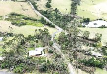 Storm debris donated to Yarram business for community projects