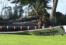 Storm recovery funding for Wellington