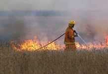 CFA warn hefty penalties loom for escaped burn-offs