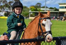 Bumper crowds at the 134th Maffra Show