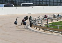 Greyhound track for Kilmany