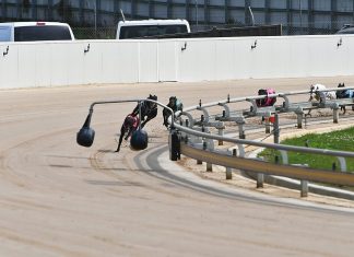 Meadows win for local dog