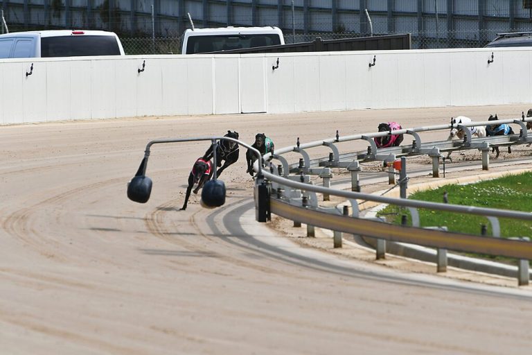 Here Comes Billy wins sprint final | Gippsland Times
