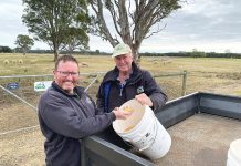 Spring Field Day to focus on production