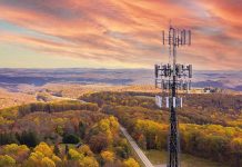Nesting bird disrupts phone service