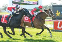 Sale double at Moe races