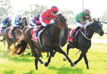 Two winners at Moe: Racing