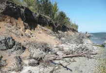 Renewed call for Gippsland Lakes audit