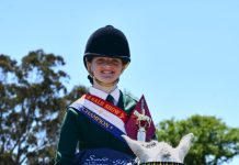 Sale Show 2024 – Saturday – more photos