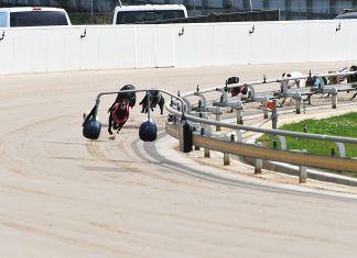 Dangerfield at Sale Cup