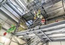 Forest firefighters: flying high for 40 years