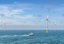 Star of the South project update