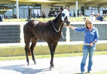 Racing: Rebillyous breaks drought