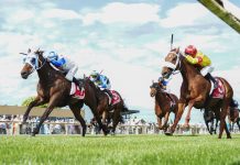 Big summer of racing