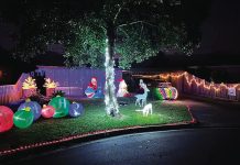 Christmas light shows – 2024