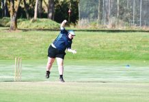 Carnival of women’s cricket