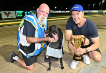 Flawless Trooper: Sale Cup