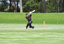 Sharks book GCL grand final spot: cricket