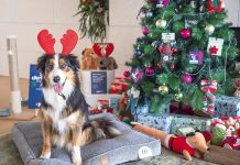 Petstock Sale’s charitable initiative