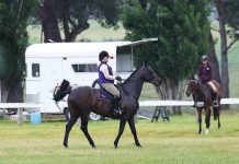 Yarram’s horse show returns