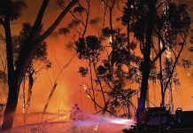 Wellington CFA support Grampians