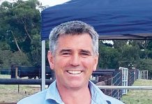Producers urged to think ‘Now, Next, Later’: Gippsland Red Meat Conference