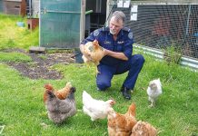 Make sure pets are part of fire plan