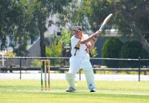 Goannas get better of Hawks