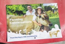 Milk and mateship with Gippsland Jersey