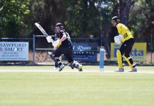 Tigers too good for Bombers at Bundy