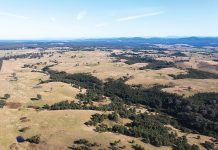 Gippsland Critical Minerals hands out $10k in grants