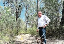 Clear fire access tracks: Bull