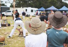 Year in review: Erika Allen looks back on 2024