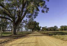 Don’t forget the benefits of farm laneways
