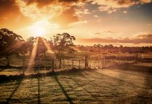 State government announces drought support, Wellington farmers miss out