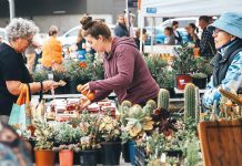 Community Corner – January 15 2025