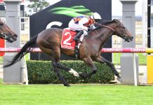 Midweek racing attracts all ages