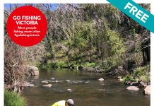 Free fishing guide now available