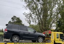 Licence suspended for alleged erratic driving