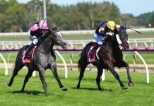 Doubles for Dee, Brown at the Sale race meeting