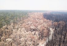 Council opposes new ESVF levy