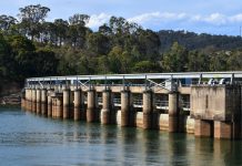 Reader Gallery: 29 January 2025