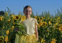 Sunflower sale success
