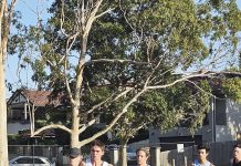 On the fast track at Victorian Milers Meet