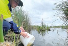 Celebrating Gippsland Lakes for our common future