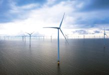 Star of the South begins survey work