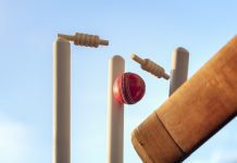 No game for over 60s Goannas