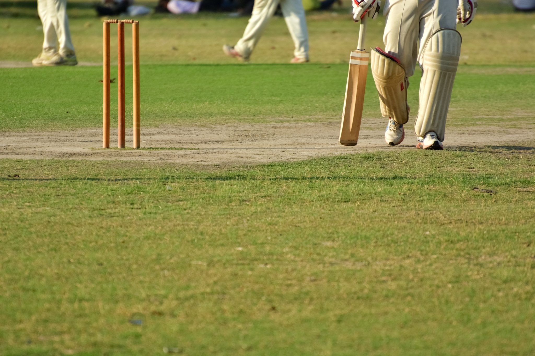 Goannas season opener abandoned | Gippsland Times